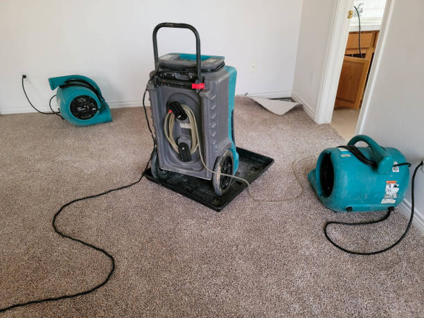 Best Fire Damage Restoration  in New Lebanon, OH