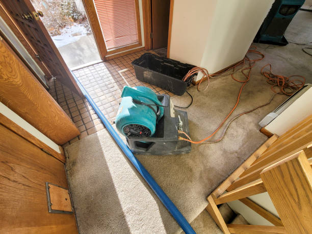 Best Carpet water damage restoration  in New Lebanon, OH